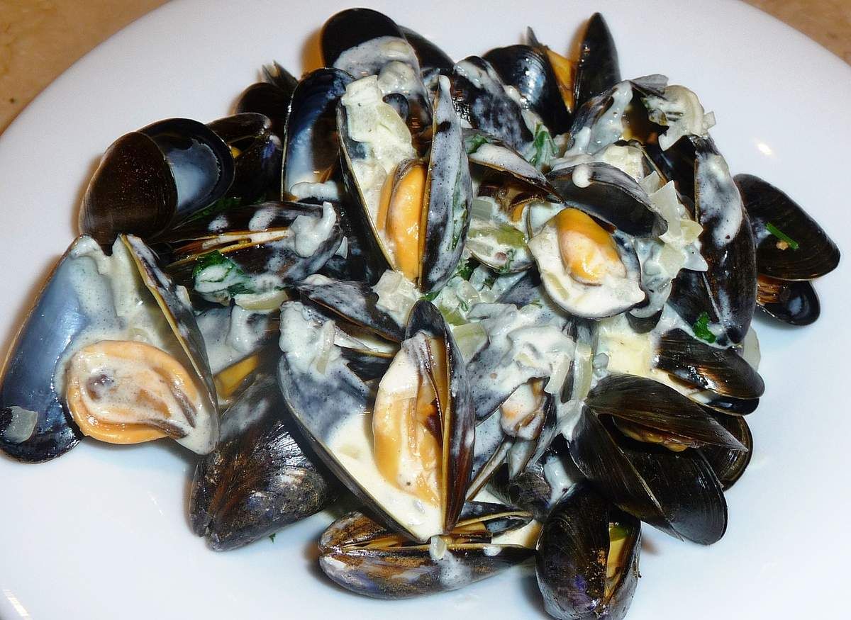 Moules sauce au roquefort
