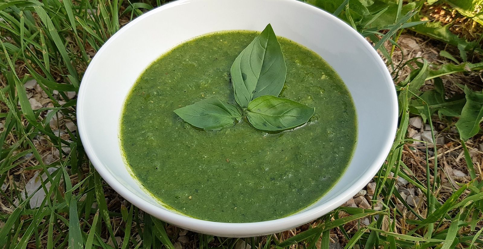 Sauce pesto maison